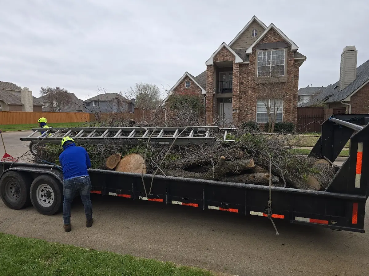 Expert Tree Removal with proper safety equipment in Mc Dermott